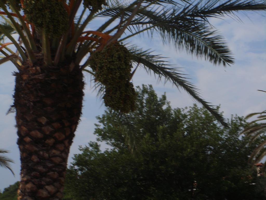 Mikiverna Maisonnette Villa Kalyves Polygyrou Dış mekan fotoğraf